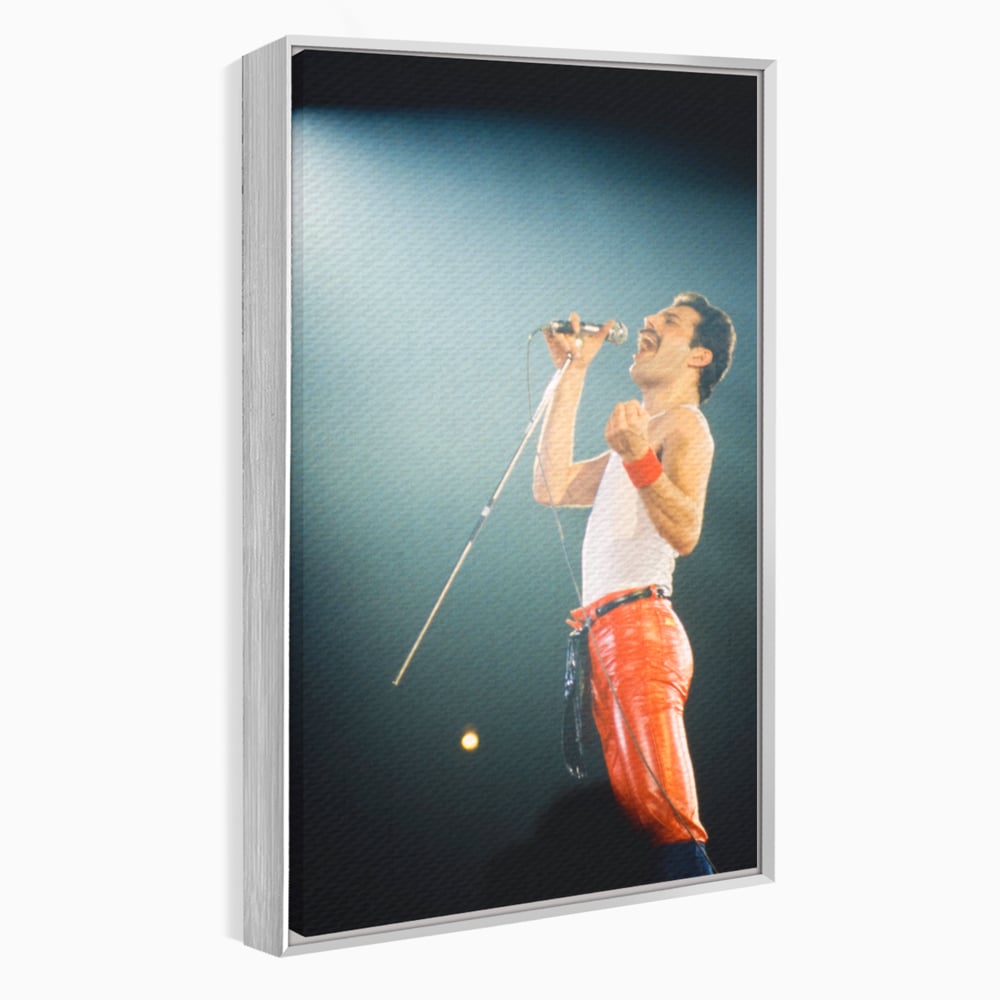 Tablou canvas cu tablou canvas cu freddie mercury, in rama de aluminiu argintiu